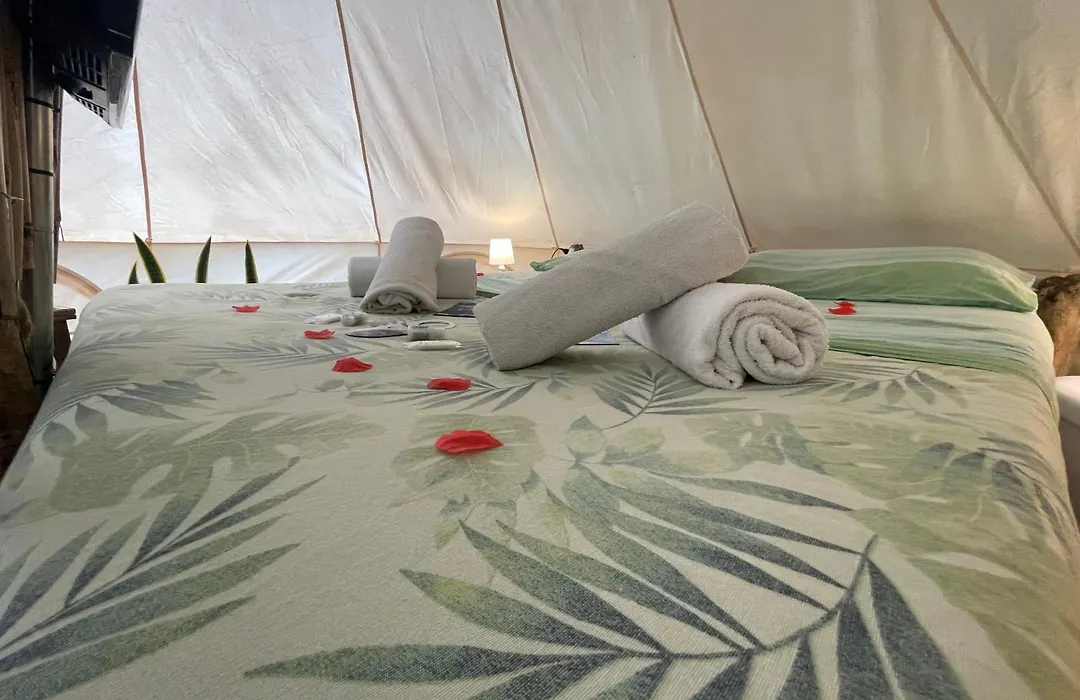 Re Dream Suite A Tema - Rapallo-1